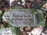 Fragment macewy na cmentarzu żydowskim w Solcu nad Wisł±