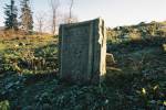 Tyrawa Wołoska - macewa na cmentarzu żydowskim