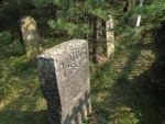 Cmentarz żydowski w Ulanowie Jewish cemetery in Ulanow