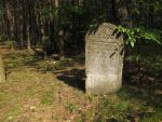 Cmentarz żydowski w Ulanowie Jewish cemetery in Ulanow