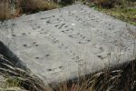 Żarki - nagrobek na cmentarzu żydowskim