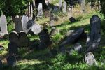 Cmentarz ydowski w Mikulovie Jewish cemetery in Mikulov