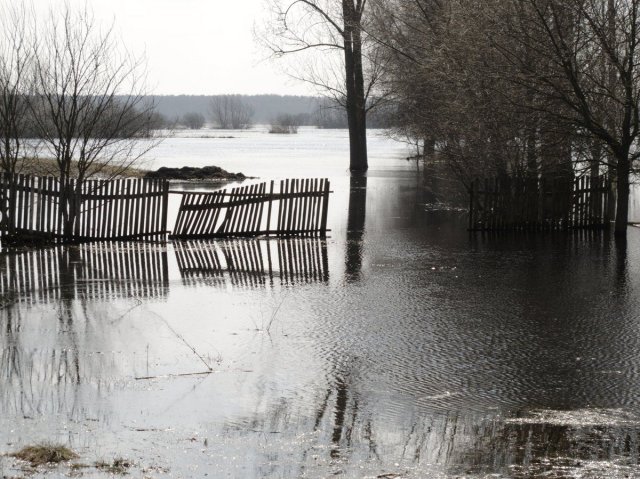 płot w blizocinie