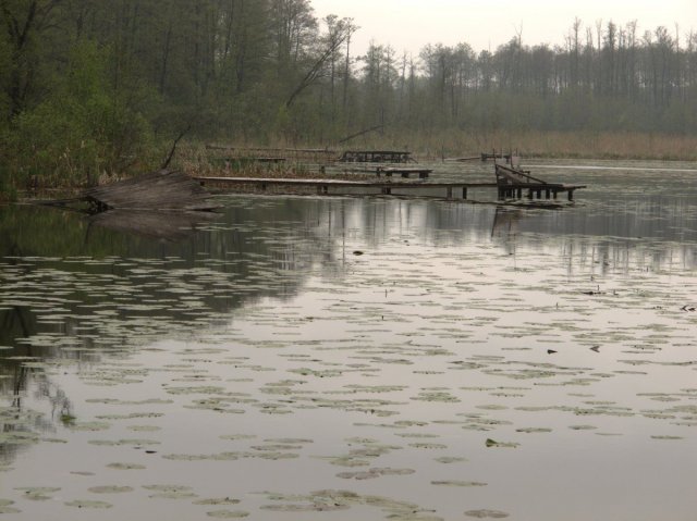 Staw w Sobieszynie Brzozowej